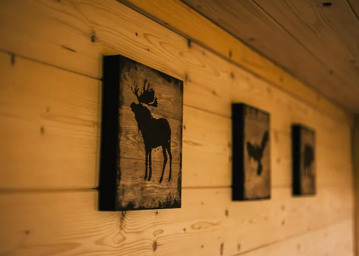 Campo de lujo Treehouse