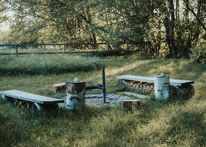 Campo de lujo Treehouse