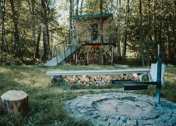 Treehouse *